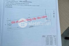 Bán gấp 19 lô đẹp 1000m2lô dể lên thổ