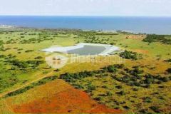 Bán ngộp 2 sào đất biển sát kdl bàu trắng