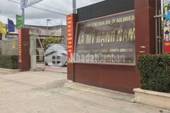 Bán đất chính chủ mỹ hạnh nam