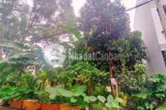 Bán đất sổ hồng đường 8m 1185 lê văn lương