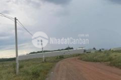 Bán 5 5x43m đất ngay sau công ty xí nghiệp nhà máy