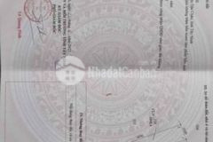 Bán gấp lô đất 1000m2 sổ sẵn đường 9m gần mt dt783