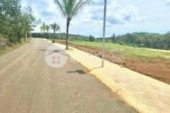 Bán đất thổ cư mặt tiền đường nhựa