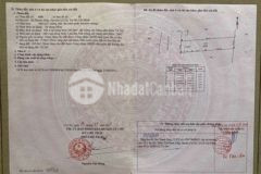 Bán 300m2 đất thổ cư mặt tiền đường ba sa củ chi