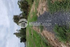 Chỉ 900tr sở hữu 2100 70x30 đất cây lâu năm