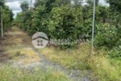 Đất đẹp view suối cách ql14 chỉ 1km