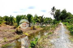 Hạ giá bán nhanh 1000m2 đất vườn bến lức