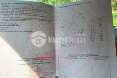 Bán đất an hòa tam dương vĩnh phúc