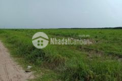 Bán 200 mẫu đất suối ngô tân châu chỉ 1tỷ 500mẫu