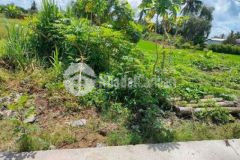 140 m2 đất thổ tân trụ long an đường xh nền sẵn