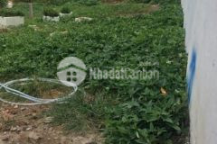 Bán đất hẽm xe hơi đường số 3 trường thạnh