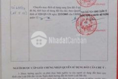 Cần bán gâp lô đất đường tjanh xuân 43