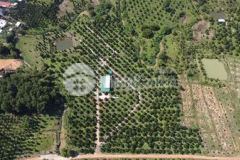 Bán đất xã phú an tân phú đồng nai