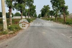 Đất mặt tiền phan văn mảng tt bl tiện kinh doanh