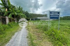 365m2 đất tại an nhơn tây củ chi hẻm xe hơi