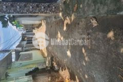 Bán lô 10x20 thổ phong nẫm giá ngộp