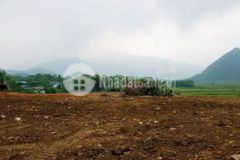 Bán siêu phẩm bám suối cuối hạ kim bôi hoà bình