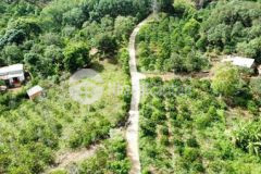 Bán 1 2 hec rẫy ea hleo có 115m đường bê tông