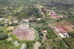 Cần bán lô đất thổ cư giá rẻ