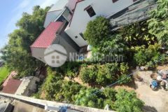 Bán đất hải thượng lãn ông vs nguyễn đình chiểu