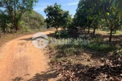 170m mặt tiền thanh sơn định quán giá đầu tư