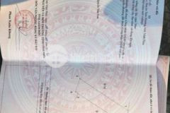 Đất thôn chùa giáp ranh kcn tam dương