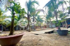 Đất nền biệt thự 3 mặt tiền xa hữu định bến tre