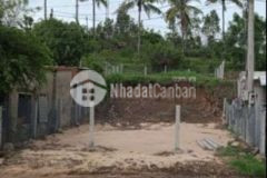 Ban đât ơ măt tiên pham văn đông