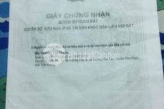 Đất trồng cây lâu năm cần bán