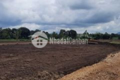 Bán đất có sổ hồng 1000m2 1 tỷ đường 6m đồng nai