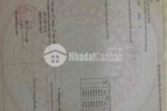 Đất vườn 1026 m2 đường bình mỹ vào 100m