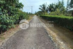 Bán nền giá rẻ tại xã thuận hưng, huyện long mỹ, tỉnh hậu giang