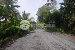 Cần bán đất mặt tiền lộ nhựa 4m tại ấp 7 xã xà phiên, huyện long mỹ, tỉnh hậu giang