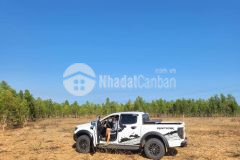 Bán đất vườn bình thuận, có sổ sẵn, giá chỉ 115 ngànm2.mặt tiền dường nhựa 16m.giá thật sp thật