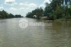 Bán nền 396 tỉnh lộ 928b cách ủy ban xã tân phước hưng khoảng 500m huyện phụng hiệp tỉnh hậu giang.