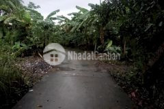 Cần bán 2 công đất cách chợ cái tắc 3km, khu vực xã thạnh hoà, huyện phụng hiệp, tỉnh hậu giang