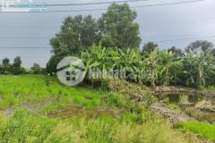 Bán đất 459m² ql 61c, xã vị trung, huyện vị thủy, hậu giang, 700tr