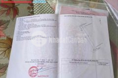 Địa chỉ tài sản xã phương bình, huyện phụng hiệp, hậu giang