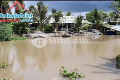 Bán mảnh vườn 7.000m², xã hòa mỹ, phụng hiệp, hậu giang.