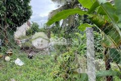 Bán nền thổ cư sỹ cuôn, xã trung an, huyện cờ đỏ, tp cần thơ.