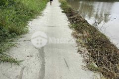 Bán 22 công đất ruộng mặt tiền 85 mét tại xã tân phú, tx long mỹ, tỉnh hậu giang.