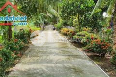 Bán đất 8400m2 và nhà cấp 4 thị trấn búng tàu, phụng hiệp, hậu giang