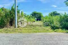 Nền trục chính đs 1 thông ra ql 1a rẻ nhất tây đô ecopark, xã tân phú thạnh, châu thành, hậu giang