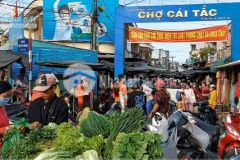 Địa chỉ tài sản quốc lộ 1a, thị trấn cái tắc, huyện châu thành a, hậu giang