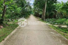 Bán mảnh vườn 7.000m², xã hòa mỹ, huyện phụng hiệp tỉnh hậu giang.