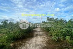 Mua bán đất giá rẻ tại quảng trị