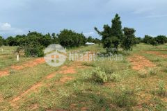 8500m2 đất cln cạnh bên safari rạng đông, đường vào 6m ngay khu dân cư giá 1.23 tỷ.lh tôi có zalo