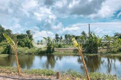 Chủ gửi bán đất 3..838m² cách nguyễn văn cừ 200m, phong điền, cần thơ