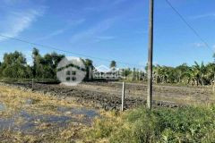 Bán nền 985m2 mặt tiền ql 61c, xã tân hòa, huyện châu thành a, hậu giang