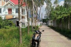 Đất ở giá rẻ 105m2 xã tân quý tây huyện bình chánh